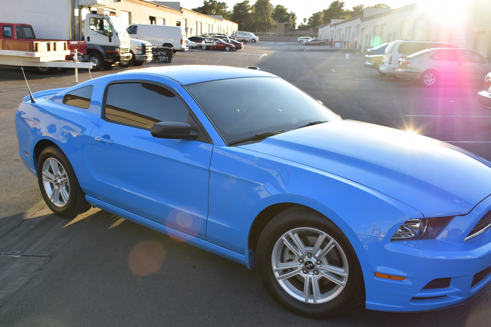 Blue Ford Mustang with freshly tinted windows in a parking lot
